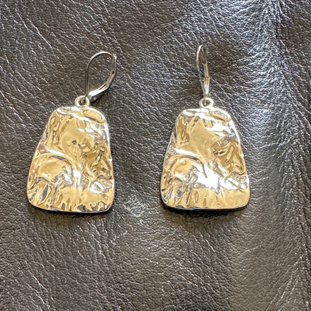 Elegant Silver Dangle Earrings
